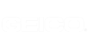 Created an Executive dossier for Geico