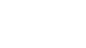 Asset 21-8