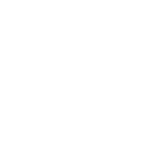 Created an Executive dossier for Bud light